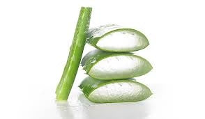 SPRAY ALOE VERA 50 ML