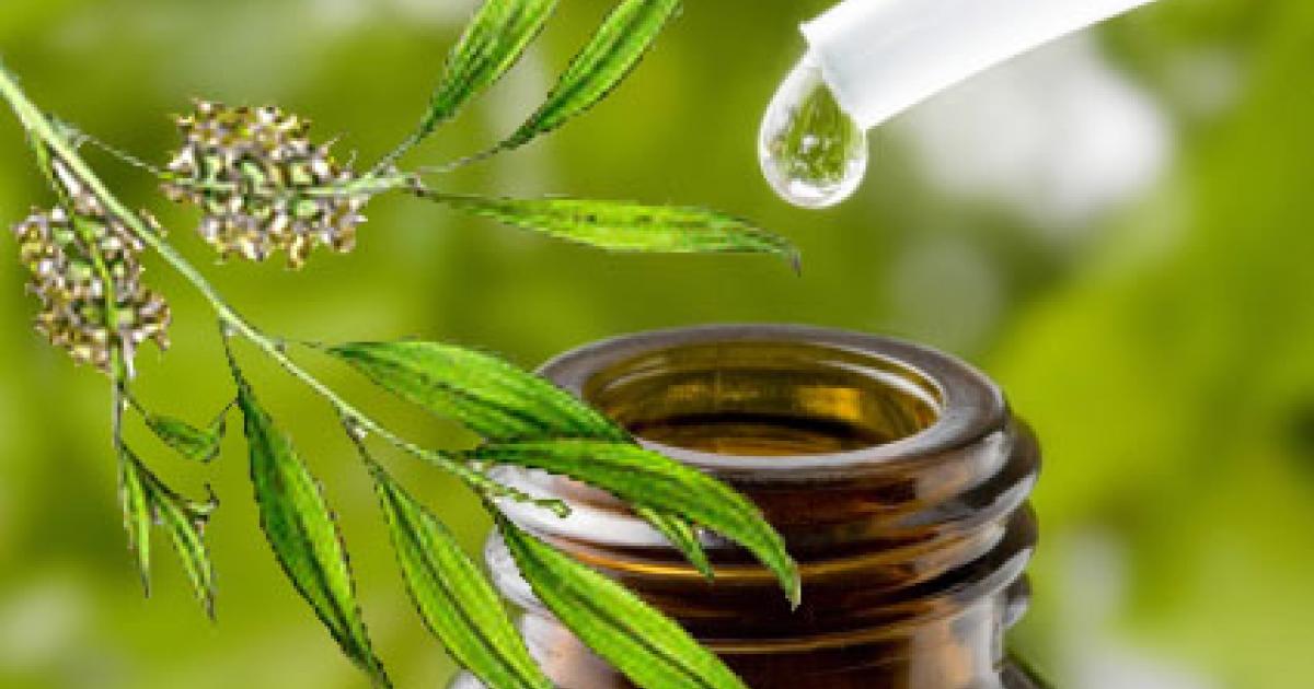 ULEI DE ARBORE DE CEAI 10 ML