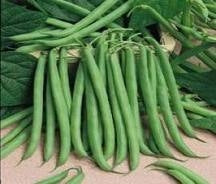 Diab Control+ CROM ORGANIC