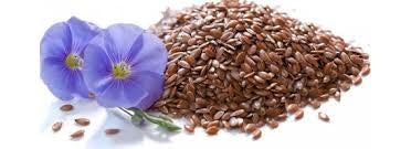 ULEI DIN SEMINŢE DE IN