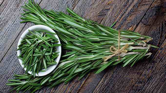 DR HERZ CREMA DE ROZMARIN 125 ML