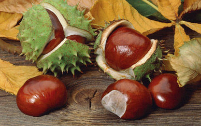 GEL DE CASTANE SĂLBATICE 125 ml