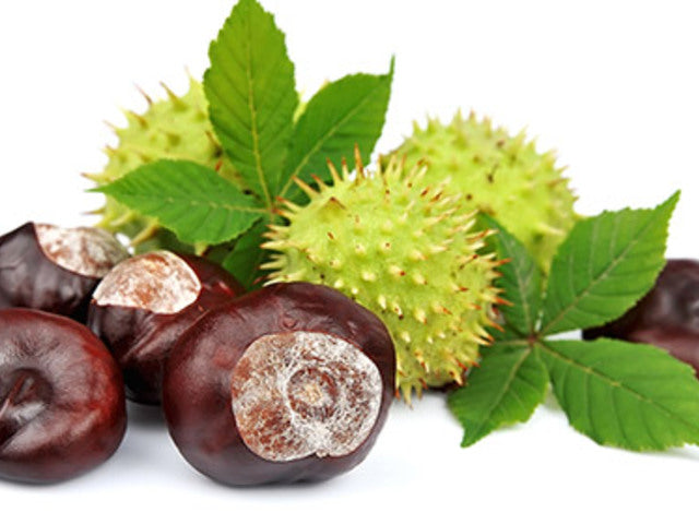 GEL DIN CASTANE VENUFIT 100 ML