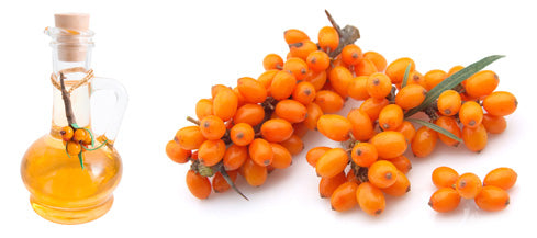 Hand Care –cremă de mâini cu cătină 100ml