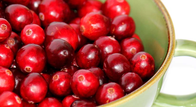 JUTAVIT SIROP DE MERISOR +EXTRACT DE SPLINUTA +VITAMINA C 150 ML