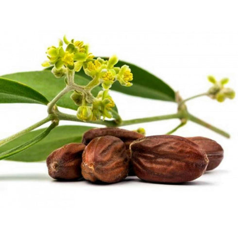 ULEI DE JOJOBA 50 ML