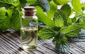 Ulei de roiniță 10 ML