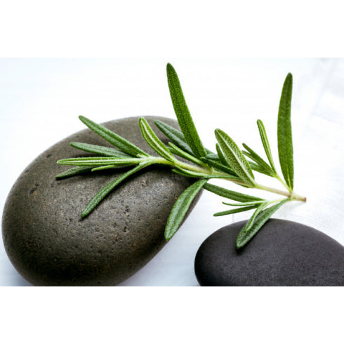 ULEI DE ROZMARIN 10 ml